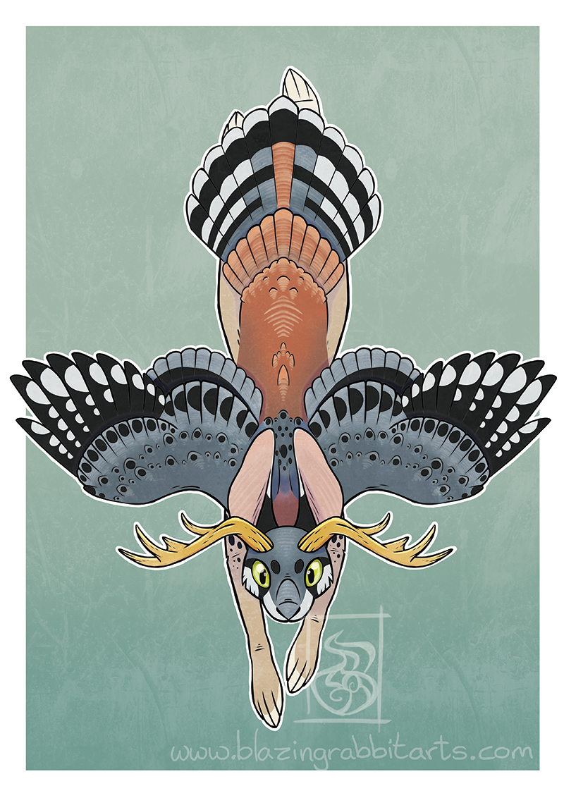 Wolpertinger Flight Illustration of a Wolpertinger in flight from the top symmetrical.